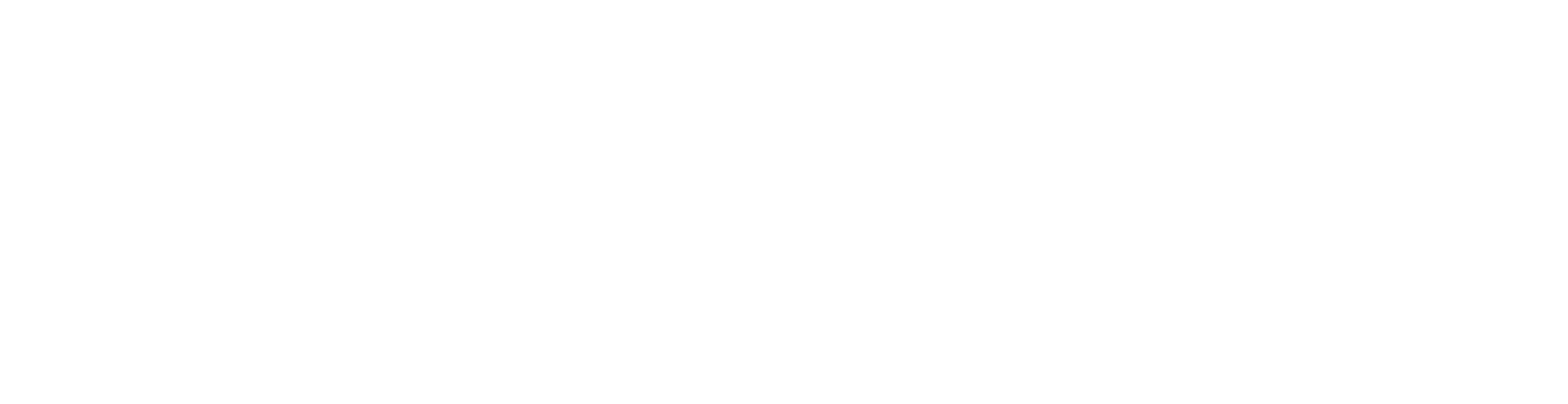 linearz-logo-white